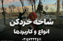 شاخه خردکن