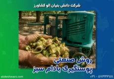 روش صنعتی پوستگیری بادام سبز