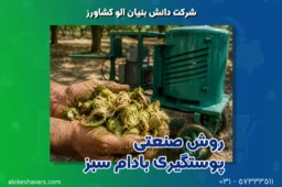روش صنعتی پوستگیری بادام سبز