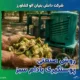 روش صنعتی پوستگیری بادام سبز